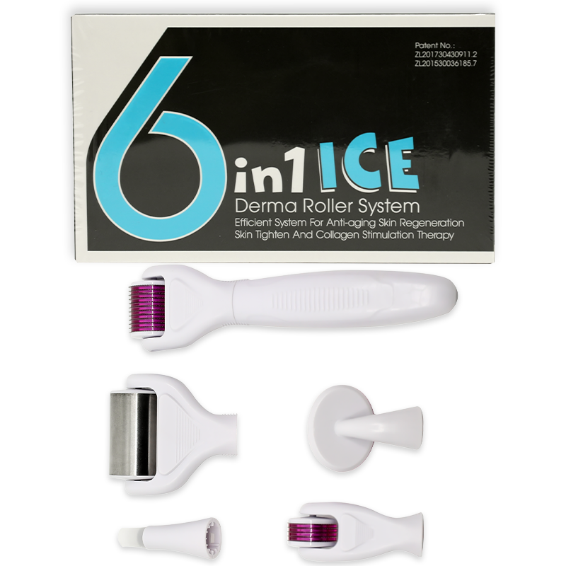 Sqy 6 In 1 Ice Derma Roller System