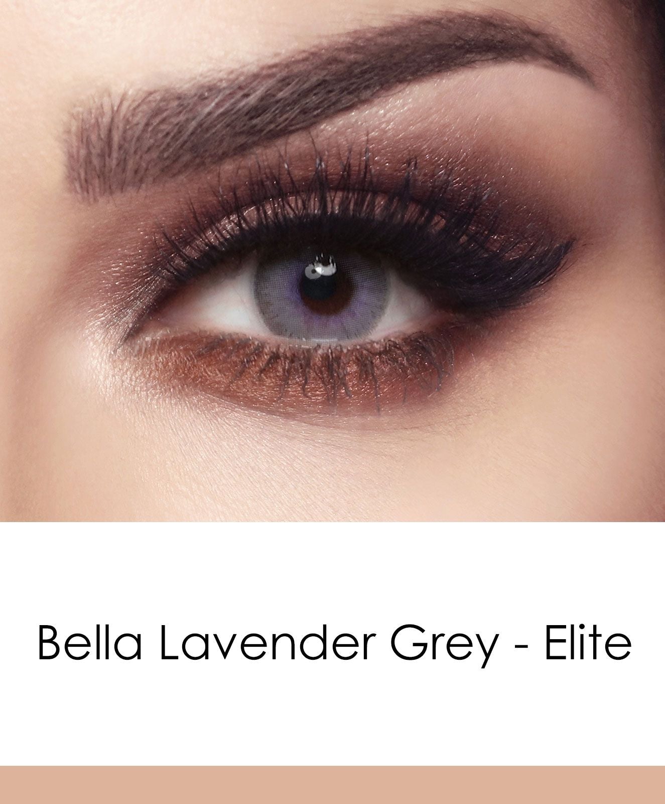 بيلا ايليت لافندر جراي