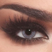 Bella One Day Color Contact Lenses Bluish Gray