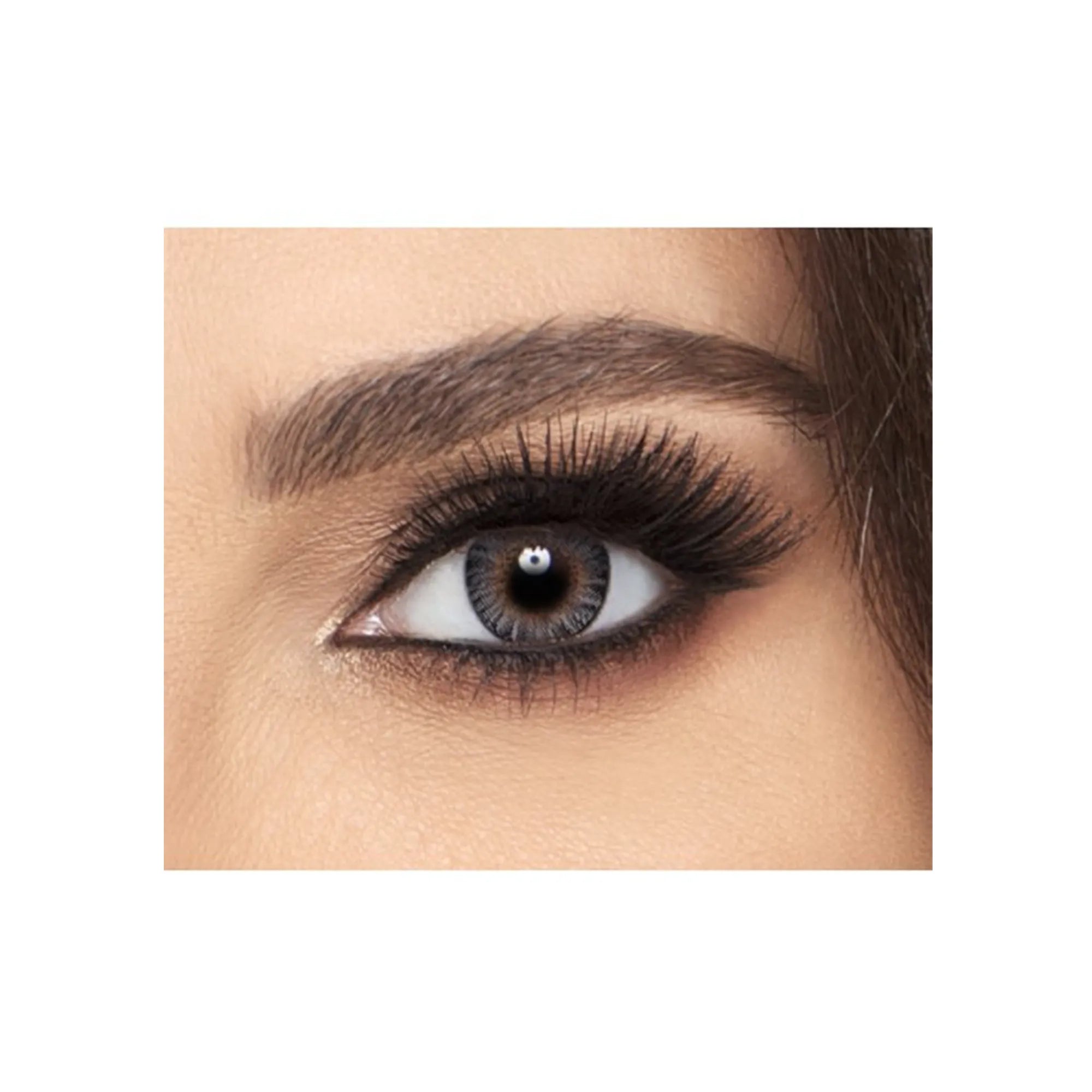 فريش لوك عدسات لاصقة شهرية - رمادي 2 قطعة 