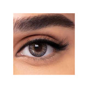 Freshlook One Day Colored Lenses - Gray 5 Pairs